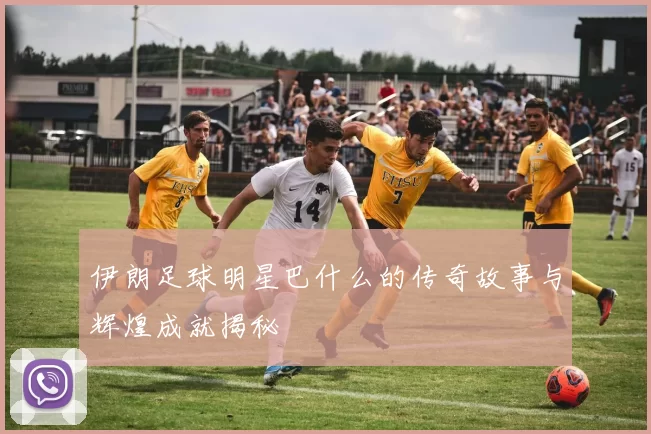 伊朗足球明星巴什么的传奇故事与辉煌成就揭秘