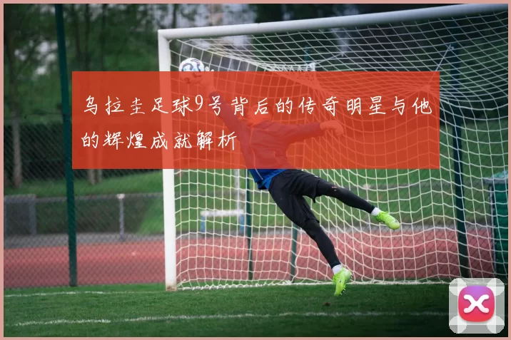 乌拉圭足球9号背后的传奇明星与他的辉煌成就解析