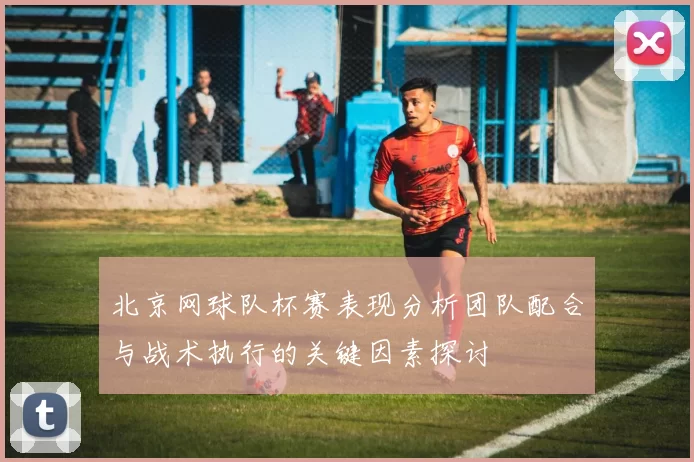 北京网球队杯赛表现分析团队配合与战术执行的关键因素探讨