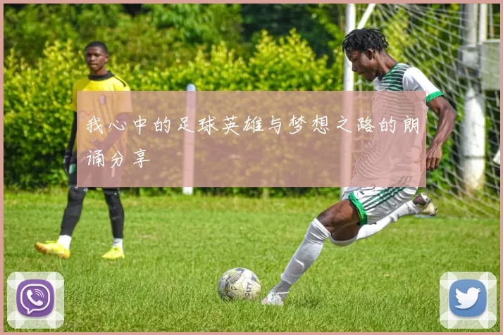 我心中的足球英雄与梦想之路的朗诵分享